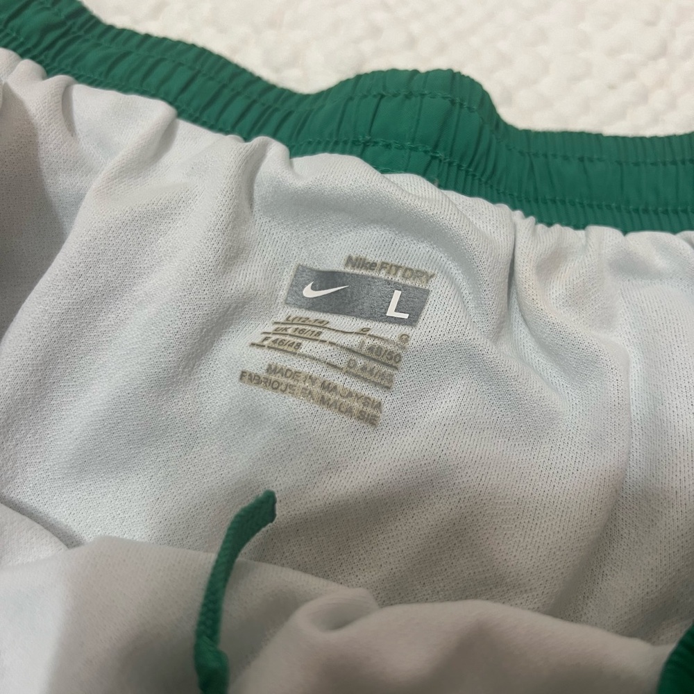 Green Nike Sports Shorts in Green-size Large - Picture 2 of 2